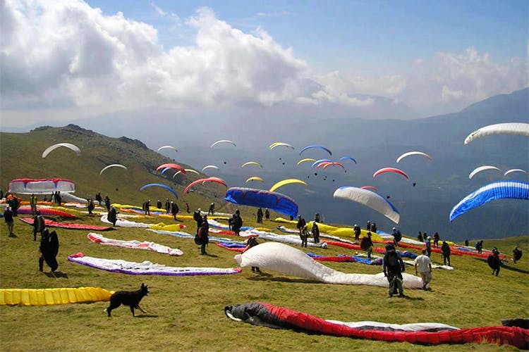 Bir Billing Paragliding Point Dharamshala